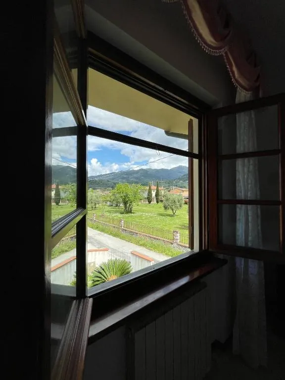 La vista dalla finestra della camera: il prato con gli ulivi e le Alpi Apuane