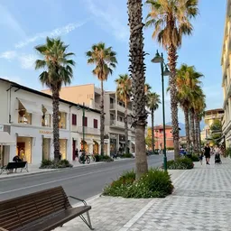 Viale con le palme a Forte dei Marmi