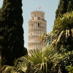 La Torre di Pisa tra i cipressi