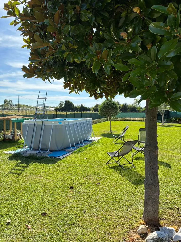 La piscina sul prato con le sdraio all'ombra della magnolia
