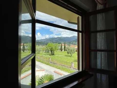 La vista dalla finestra della camera sul prato, gli ulivi e le Alpi Apuane